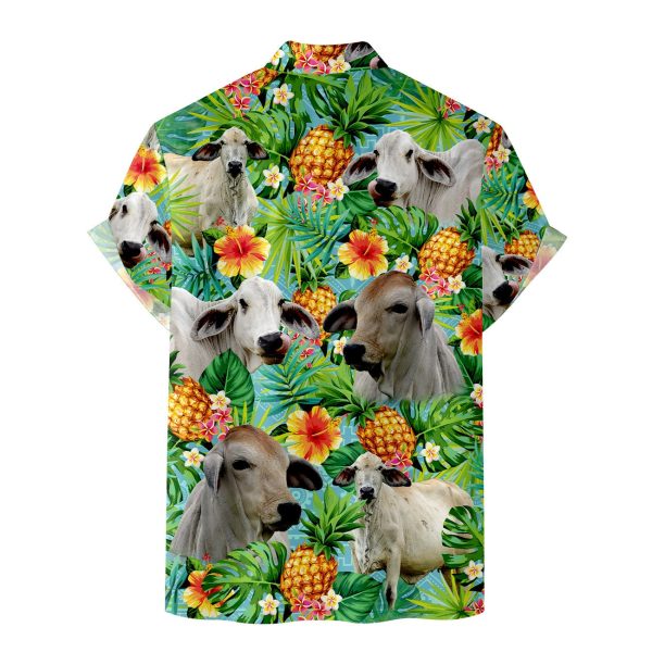 3SHIRT-TAR20192