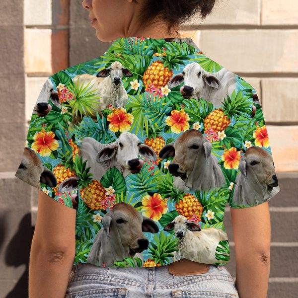3SHIRT-TAR20192