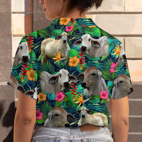 3SHIRT-TAR20142