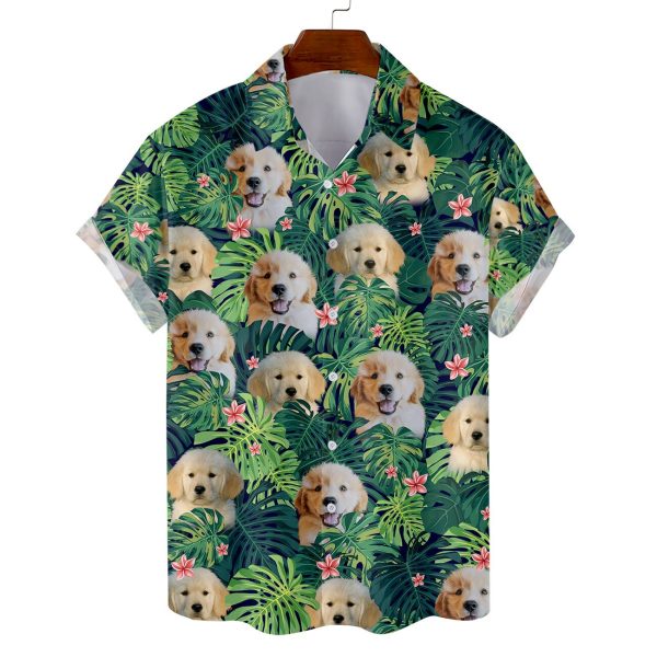 3SHIRT-TAR20170